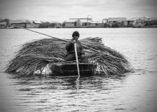 Totora collector - Uros: people of the lake