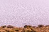 salar de uyuni, bolivia
