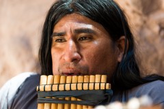 Andine Flute player