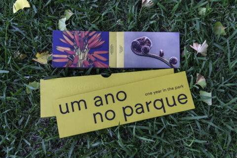 um ano no parque serralves jorge sarmento