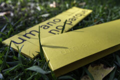 um ano no parque serralves jorge sarmento
