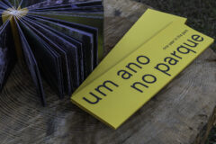 um ano no parque serralves jorge sarmento