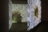 um ano no parque serralves jorge sarmento